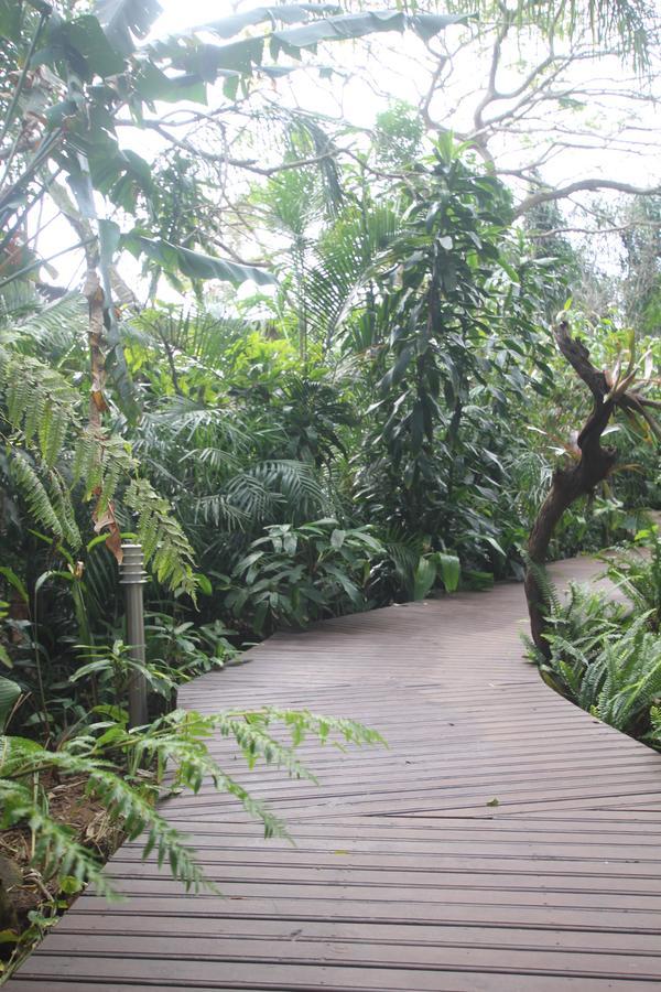 Forest Lodge เซนต์ลูเซีย ภายนอก รูปภาพ